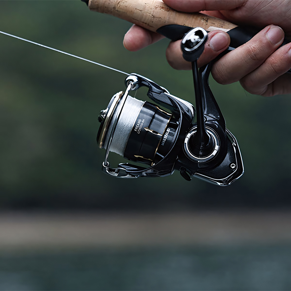 Mulinello da Spinning DAIWA 20 - Daiwa Reel Fuego recensione e prezzo